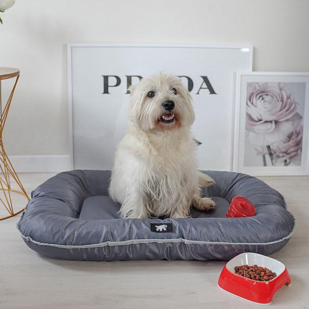 Cuscino ovale impermeabile grigio per cane Dreambay Flamingo