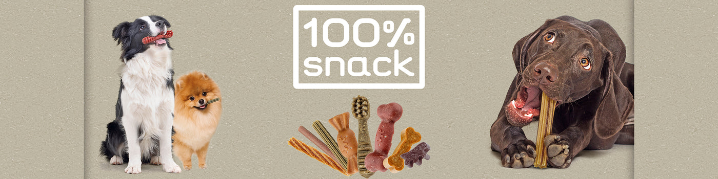Snack dentali per cani