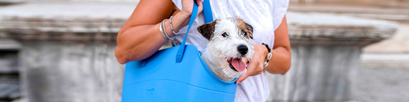 Ferplast Borsa per il trasporto di cani di piccola taglia WITH-ME