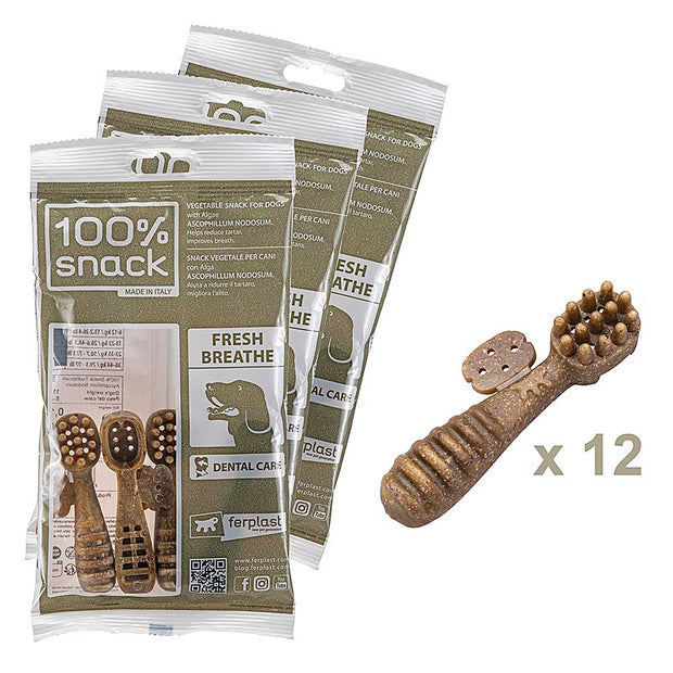 100% SNACK RIEMPIBILE - TOOTHBRUSH ASCOPHILLUM