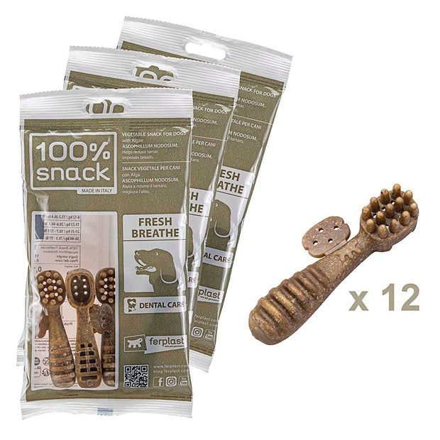 100% SNACK RIEMPIBILE -  TOOTHBRUSH ASCOPHILLUM