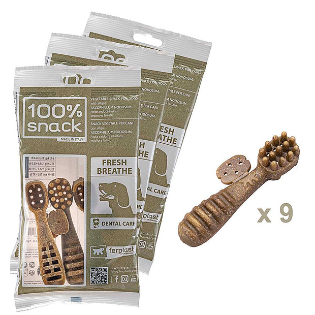 100% SNACK RIEMPIBILE -  TOOTHBRUSH ASCOPHILLUM