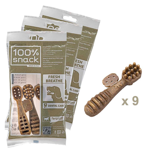 100% SNACK RIEMPIBILE -  TOOTHBRUSH ASCOPHILLUM