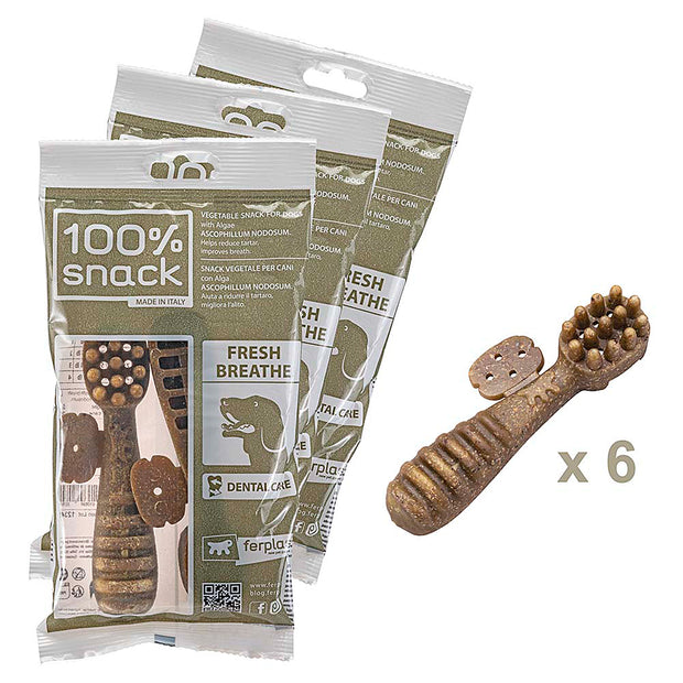 100% SNACK RIEMPIBILE - TOOTHBRUSH ASCOPHILLUM