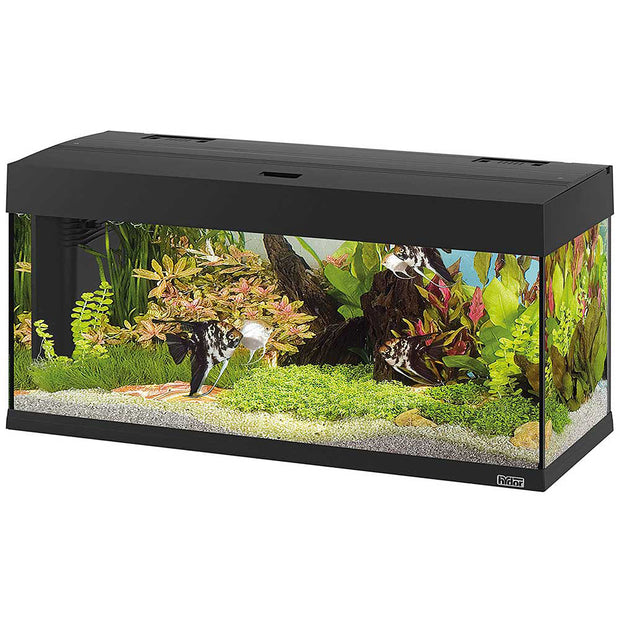 DUBAI 100 LED - 190 L
