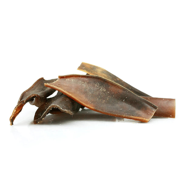 PELLE DI CAMMELLO