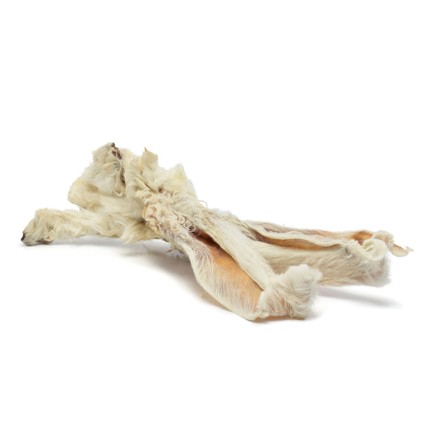 ORECCHIE DI CONIGLIO