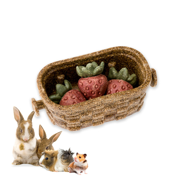 VEGGIE BITES FRAGOLA      