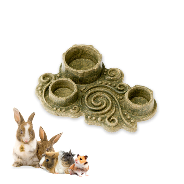 VEGGIE BITES CIOTOLA          