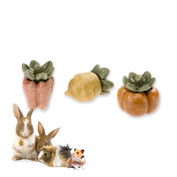 VEGGIE BITES VERDURE         