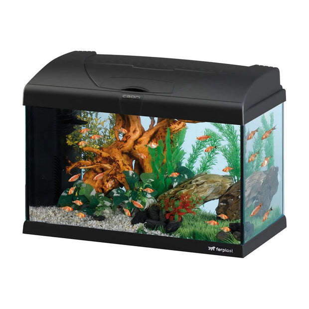 CAPRI 50 LED - 40 L