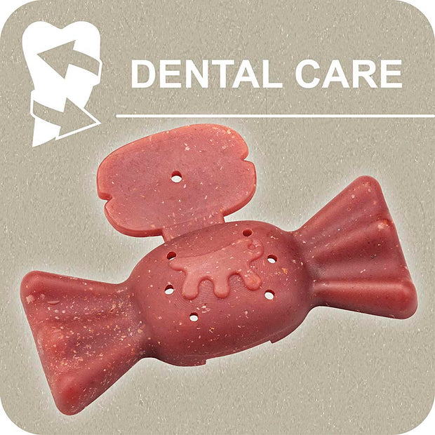 100% SNACK RIEMPIBILE - CANDY YUCCA