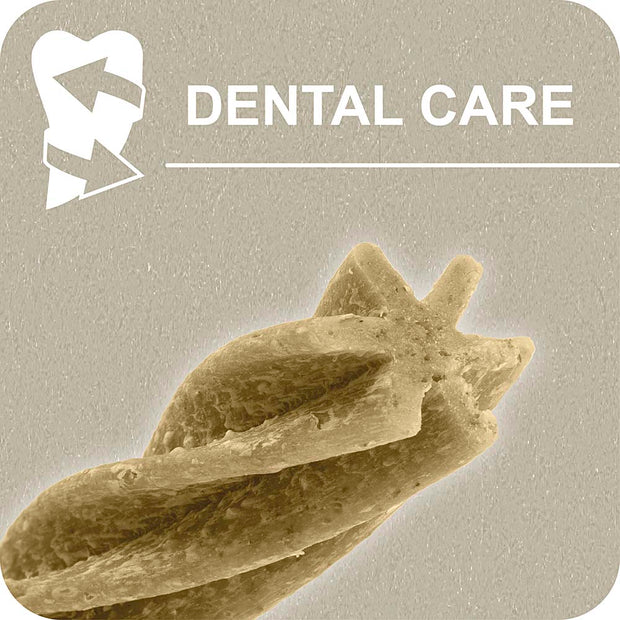 100% SNACK BASTONCINI - FUSILLI ASCOPHILLUM