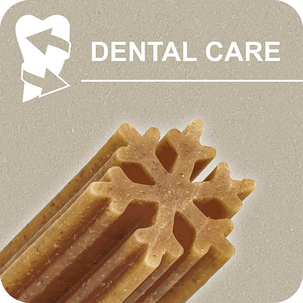 100% SNACK BASTONCINI - SNOWFLAKE EUGLENA