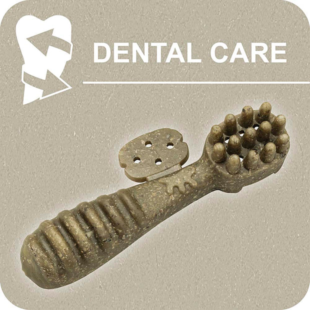 100% SNACK RIEMPIBILE - TOOTHBRUSH ASCOPHILLUM