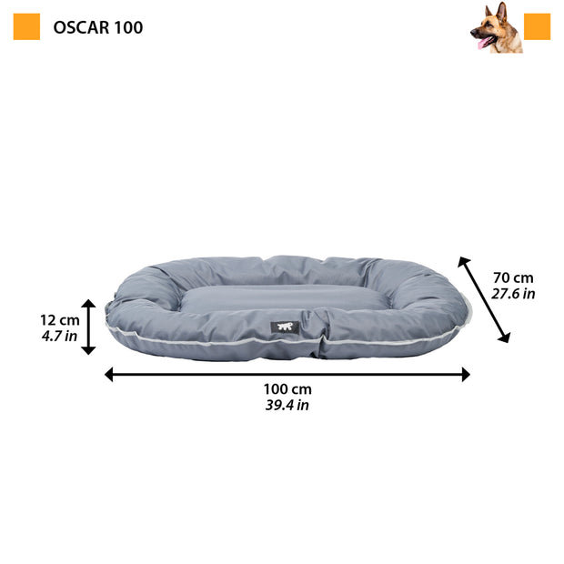 OSCAR