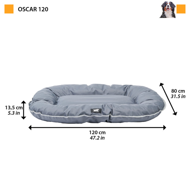 OSCAR