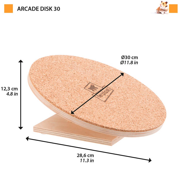ARCADE DISK 20