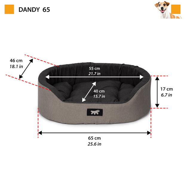 DANDY C COLOUR