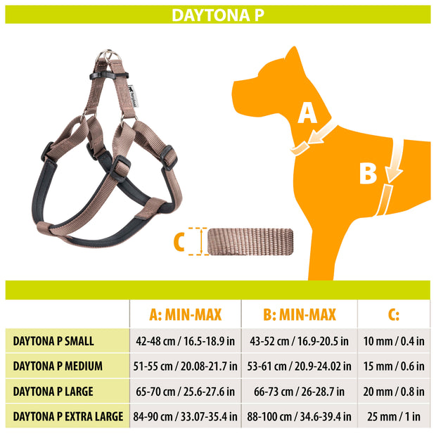 DAYTONA P