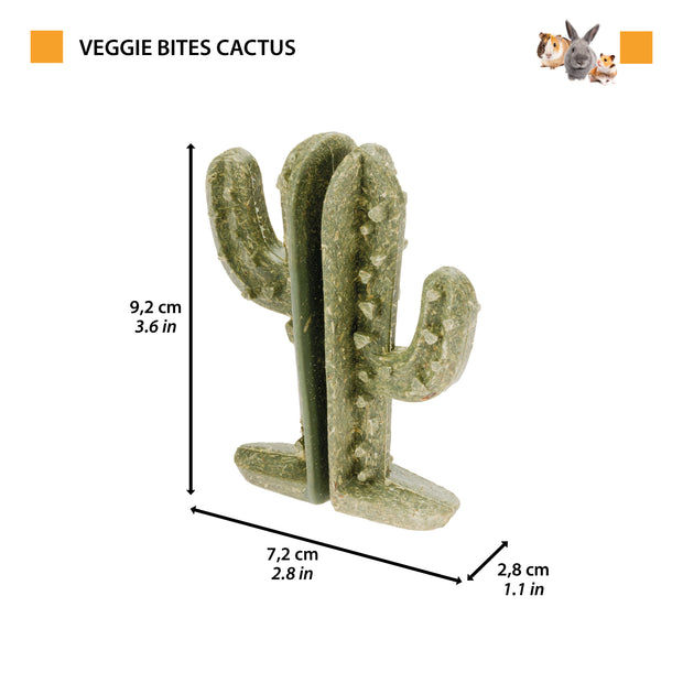 VEGGIE BITES CACTUS    