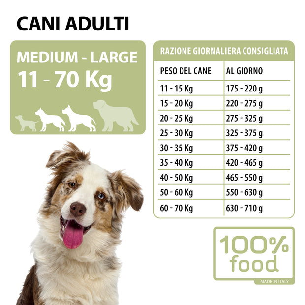 Crocchette per cani adulti Medium & Large – Agnello con Riso – 10 kg