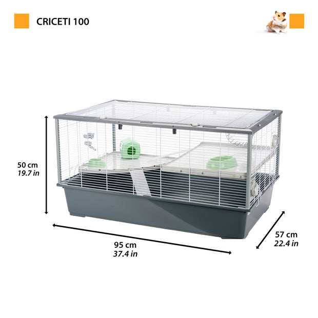 CRICETI 100