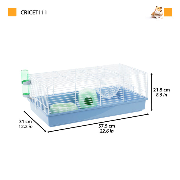CRICETI 11