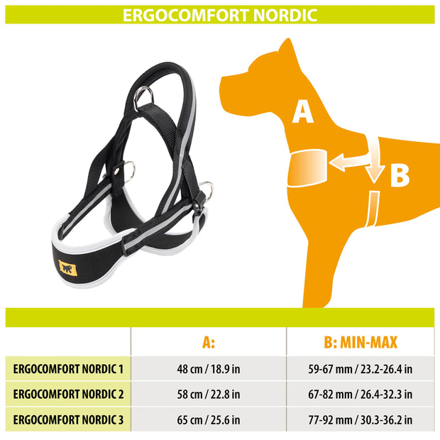 ERGOCOMFORT NORDIC