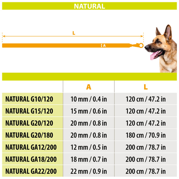 NATURAL GA