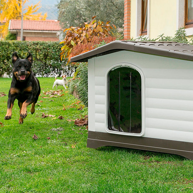 PORTA DOGVILLA