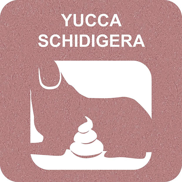 100% SNACK BASTONCINI - FUSILLI YUCCA