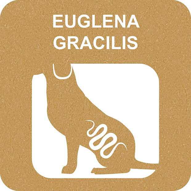 100% SNACK RIEMPIBILE - CANDY EUGLENA