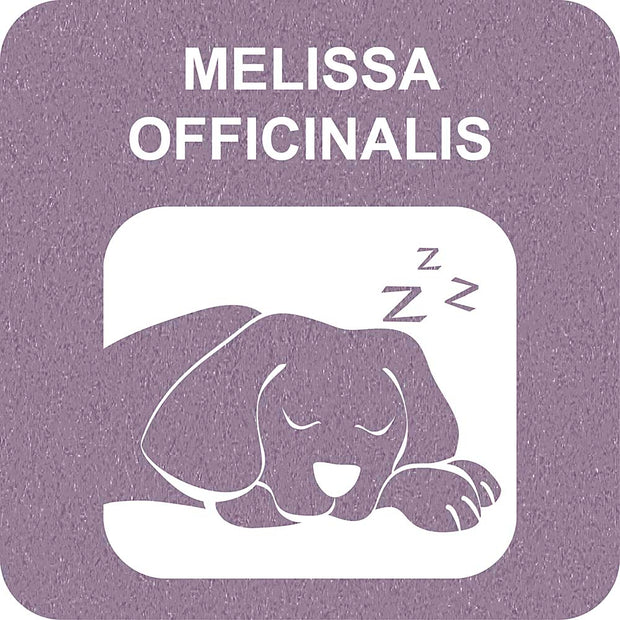 100% SNACK BASTONCINI - SNOWFLAKE MELISSA