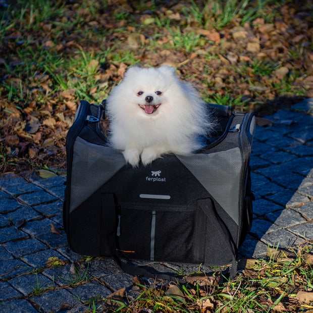 VOYAGER CARRIER