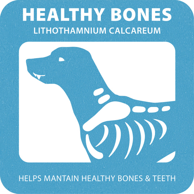 100% SNACK BASTONCINI - SNOWFLAKE LITHOTHAMNIUM