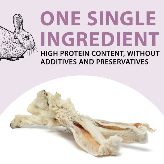 ORECCHIE DI CONIGLIO