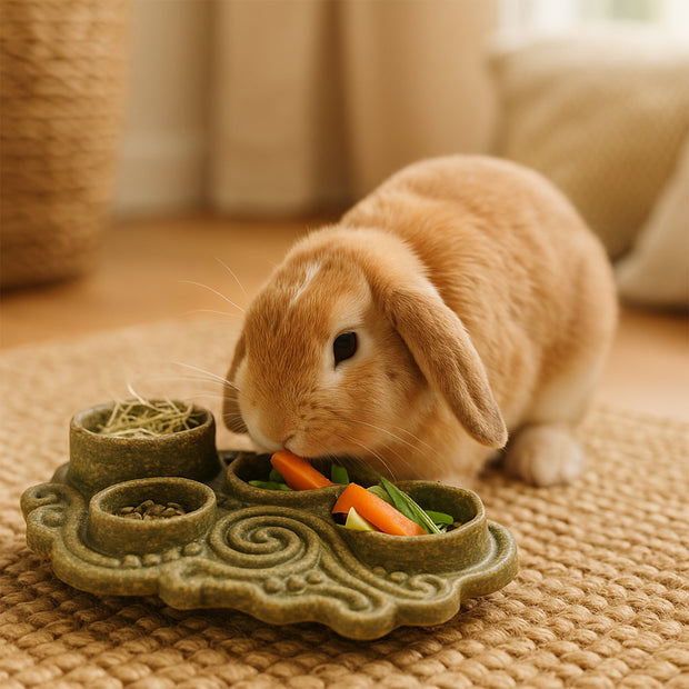 VEGGIE BITES CIOTOLA