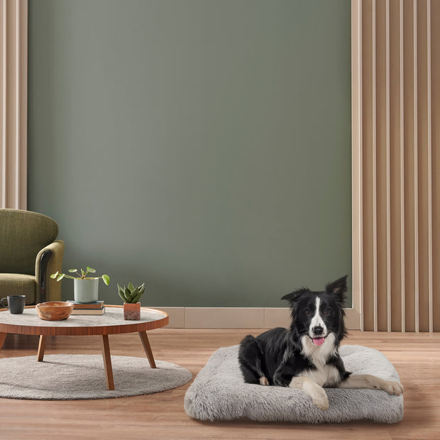 SHANTI Cuscino cani e gatti