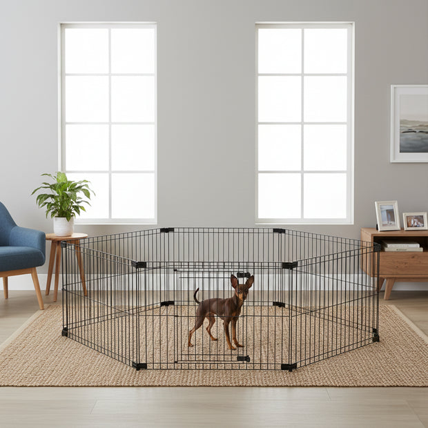 DOG FENCE  recinto per cani
