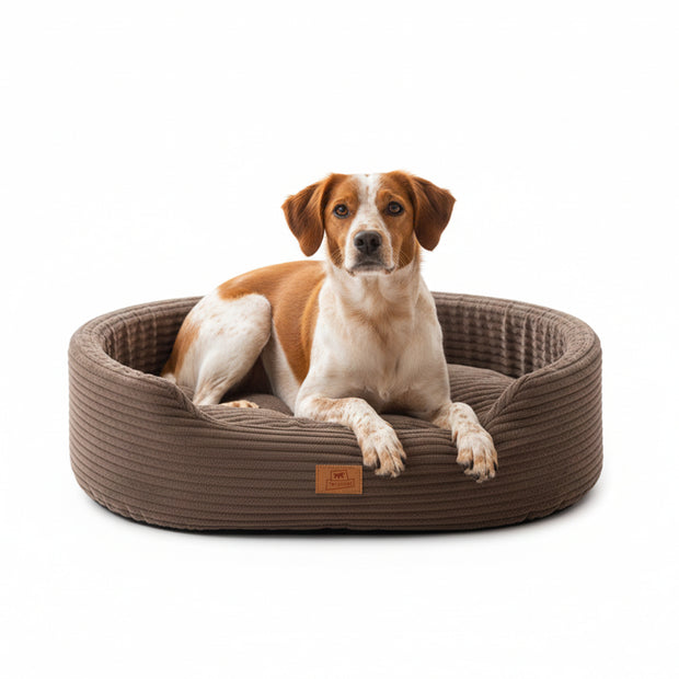 DANDY CORDUROY Cuccia divanetto con cuscino rimovibile per cani e gatti