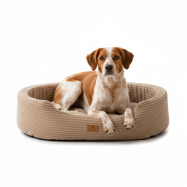 DANDY CORDUROY Cuccia divanetto con cuscino rimovibile per cani e gatti