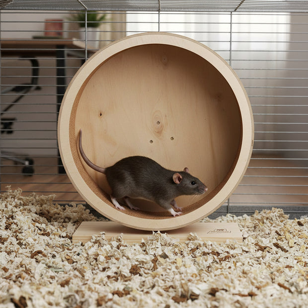 Ruota ARCADE WHEEL 21