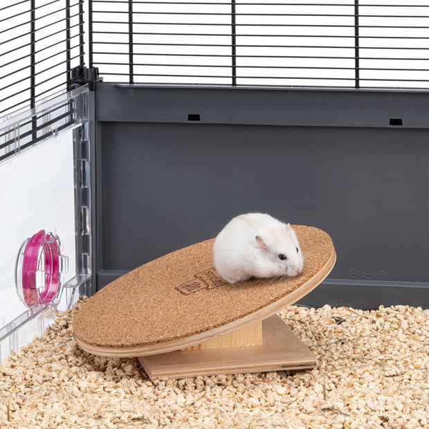 Disco ruota ARCADE DISK 20