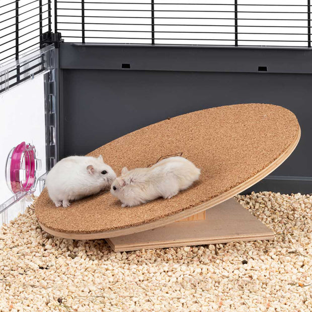 Disco ruota ARCADE DISK 20