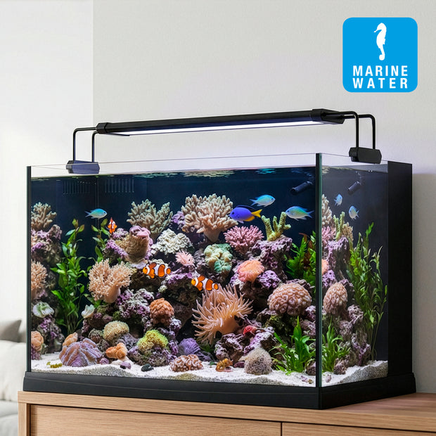 Lampada AQ-LUX REEF