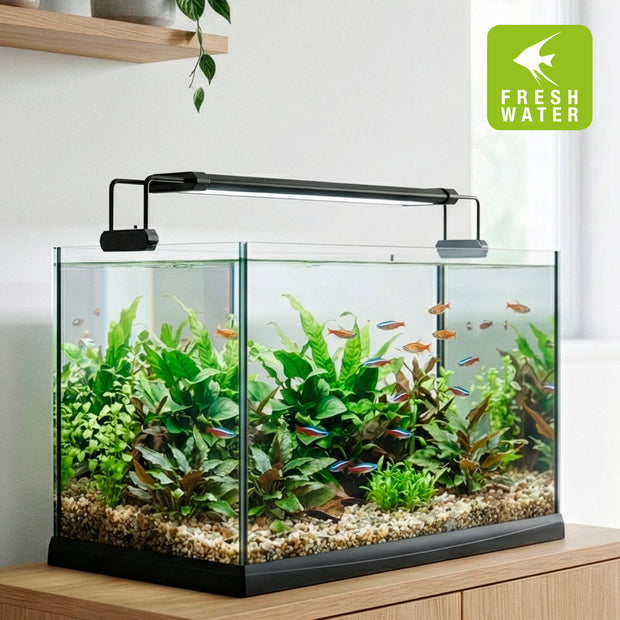 Lampada AQ-LUX FRESH