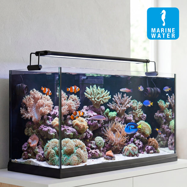 Lampada AQ-LUX REEF