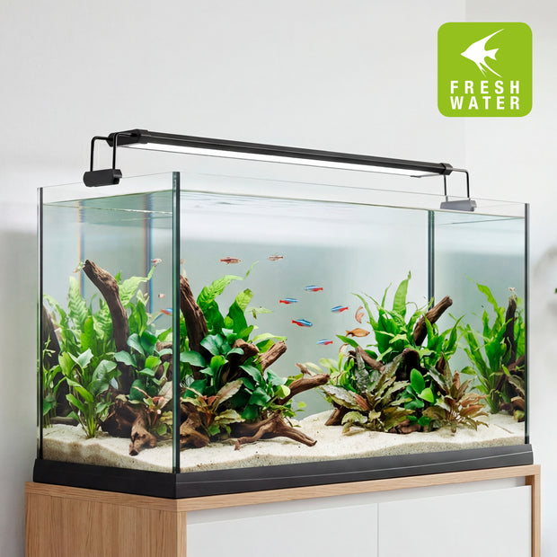 Lampada AQ-LUX FRESH