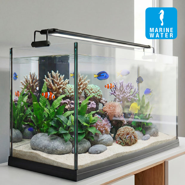 Lampada AQ-LUX REEF